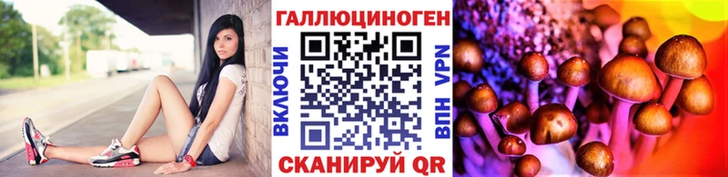 Галлюциногенные грибы MAGIC MUSHROOMS  Боровск 