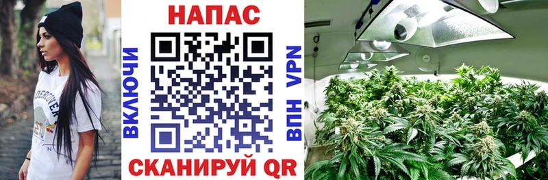 Конопля конопля  сколько стоит  Боровск 